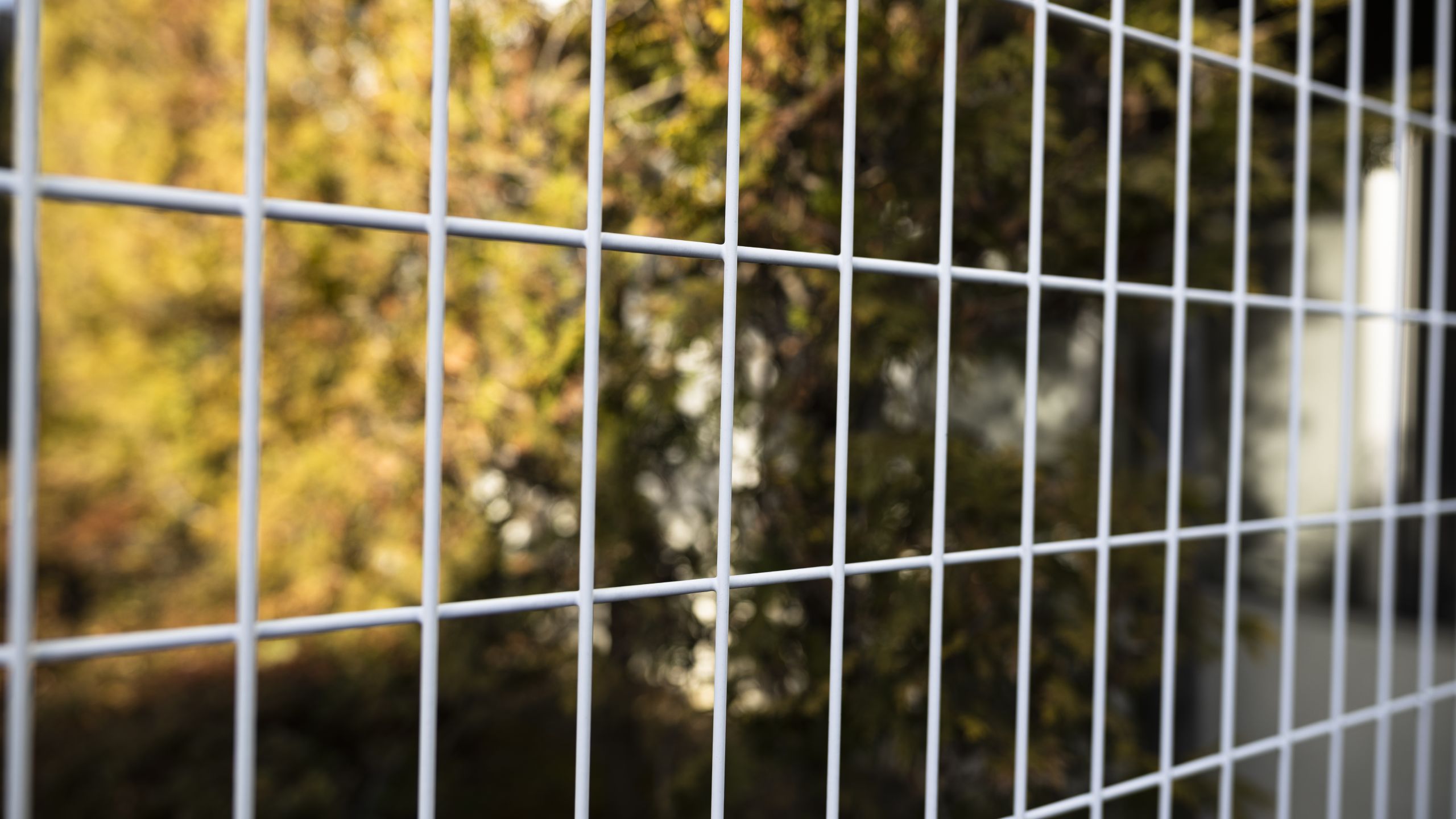 Weldedmesh hero Welded Wire Mesh Manufacturers in India